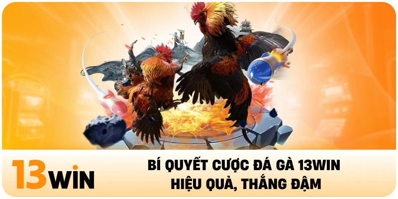 Bí quyết cược đá gà 13Win hiệu quả, thắng đậm